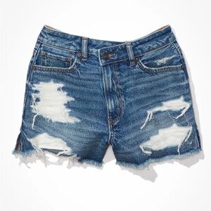 American Eagle Strigid Mom Shorts - High Rise - size 10